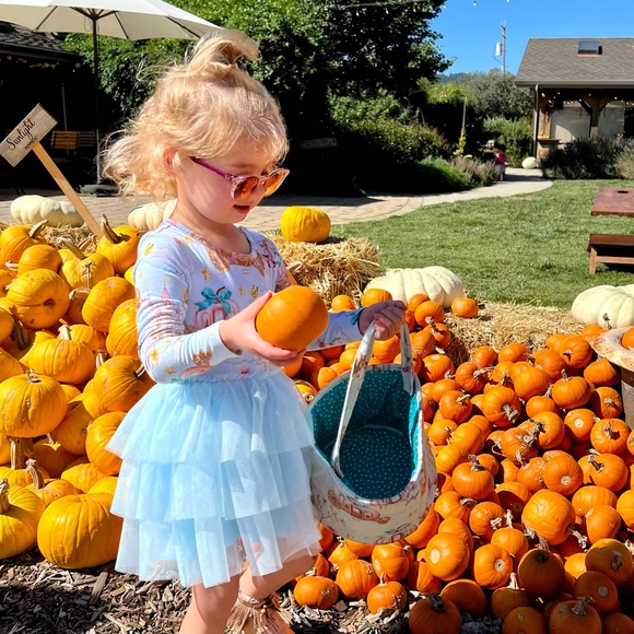 Posh Peanut Margaret Long Sleeve Tulle Dress - Picture 17 of 17